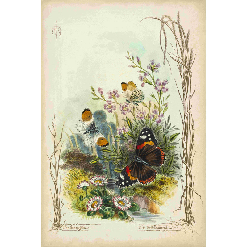 Jardin victorien des papillons, H 12 po x l 8 po