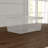 Basics By Wayfair™ Didmarton Plastic Bin-234436875