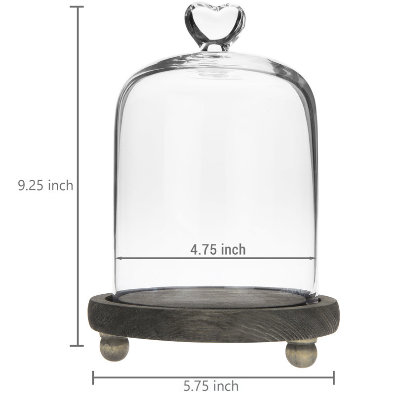 Mini Glass Dome Display Cloche