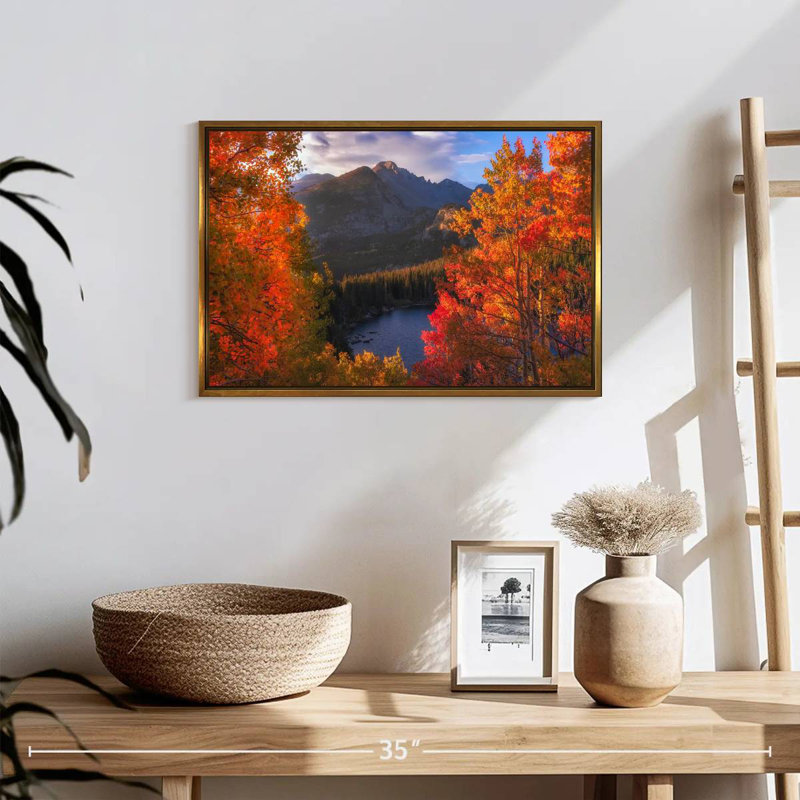 Rocky Mountain Autumn, Cadre flottant doré, 19 po x 13 po