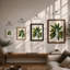 Variegated Specimen Botanical - Framed Print-1067819271-1067819276