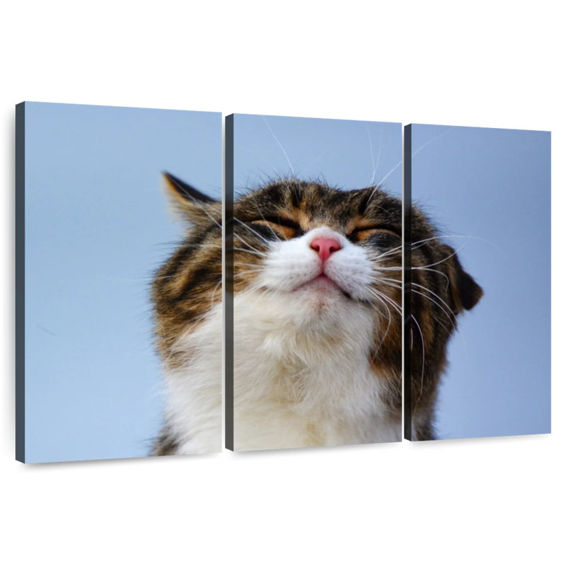 Brampt Refreshed Cat, 24" H x 38" W
