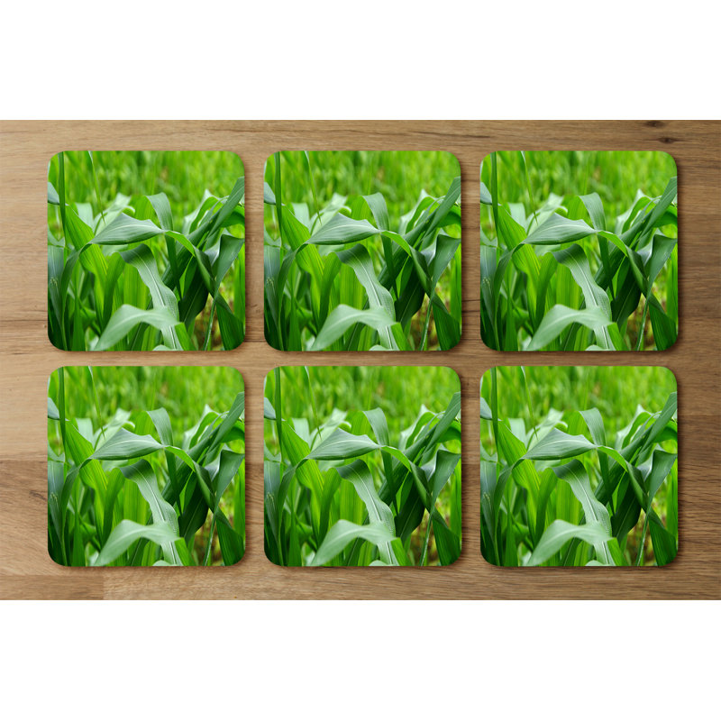 Dragulina Square 6 Piece Coaster Set