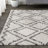 Schlemmer Diamond Trellis Shag Beige/Dark Gray Rug-627331812
