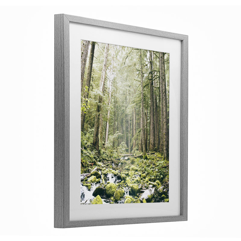 «Verdant Forest Glow Wilderness», reproduction sous verre encadrée, conception par Leah Straatsma, H 16 po x l 13 po