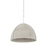 Woodlawn Pendant in White Plaster