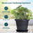 Pot Planter-1251128348-1251128337
