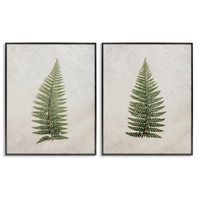"Real Fern Fern Leaves", ensemble de 2 giclées encadrées par Jennifer Rigsby