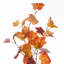 22'' Thanksgiving Polyester Wreath