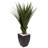 Spiked Agave Artificial Plant in Black Planter