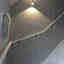 Photos des clients 1 de 1