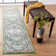 Wisner Oriental Area Rug