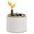 Cream White est en rupture de stock