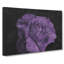 Lone Purple Rose - Wrapped Canvas-56628995