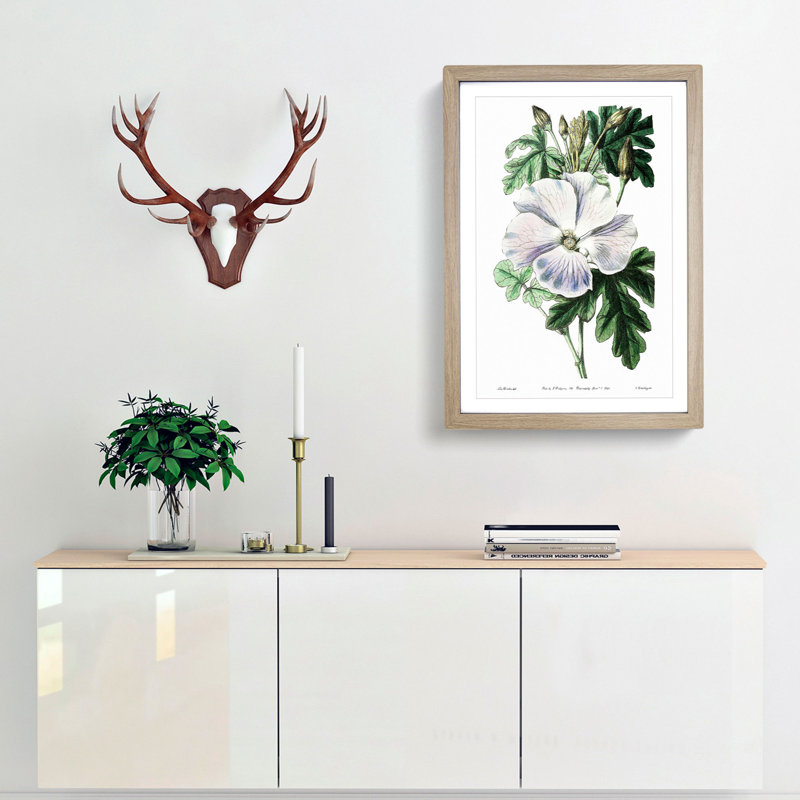 White Hibiscus Flower - Framed Print, 36cm H x 27cm W x 2cm D, Oak Framed