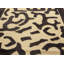 One-of-a-Kind Rectangle 5' X 8' Area Rug