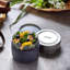 20ml Glass Food Storage Container-182052131