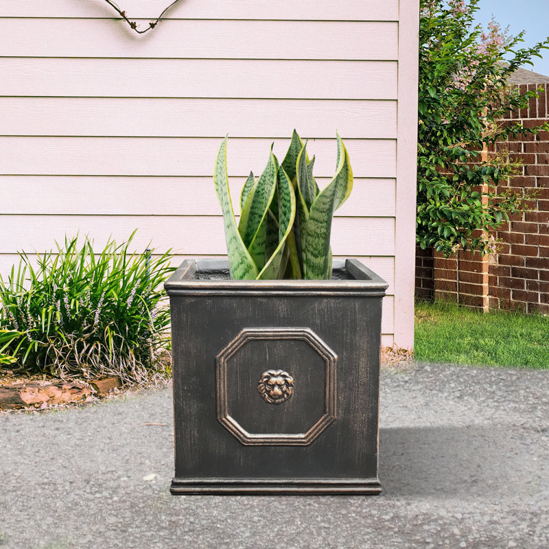 Boîte à fleurs en béton Hillevi, Bronze, H 12,6 po x l 12,6 po x P 12,6 po