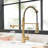 FLG Pull Down Kitchen Faucet-86678760