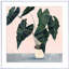 «Houseplant II» par Victoria Borges - peinture encadrée-2120927752-2025857374