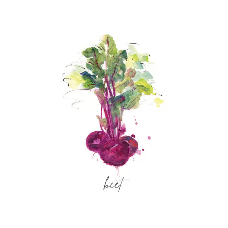 Sketch Kitchen Beet by Sally Swatland - Wrapped Canvas Gallery-Wrapped Canvas Giclée, 93.98 cm H x 93.98 cm W x 3.175 cm D