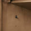 Fossen 30'' Single Bathroom Vanity with Top-1196110786