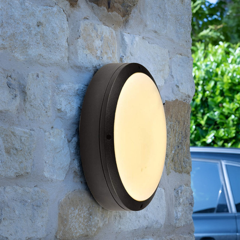 Bhanupriya Black 22cm H Integrated LED Outdoor Flush Mount