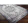 Aoi Chenille Oriental Indoor Rug
