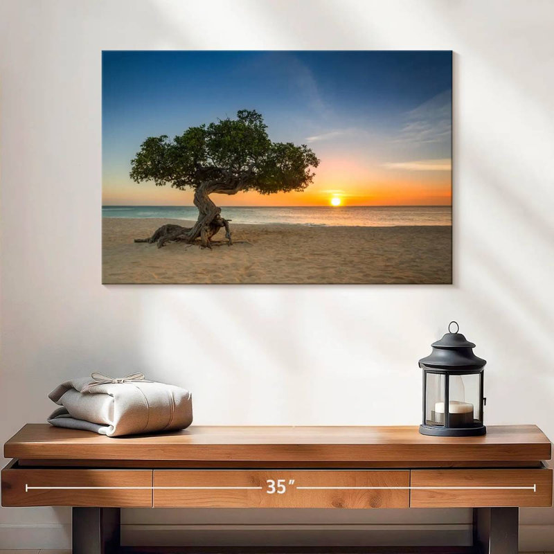 Arbre Gillard Aruba Divi Divi, H 16 po x l 24 po