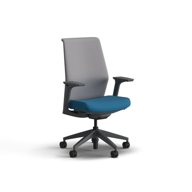 HON Cipher Mesh Ergonomic Office Chair, Charcoal Frame, Peacock, Peacock, Charcoal