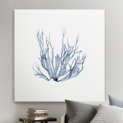 " Navy Seaweed IV "