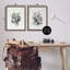 Ensemble de 2 toiles flottantes encadrées antiques-908858578-908858581