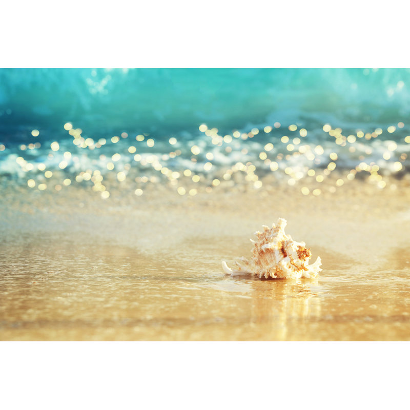 Coquillage sur une plage scintillante, plage, sable, océan, bleu, H 24 po x l 36 po x P 1,5 po