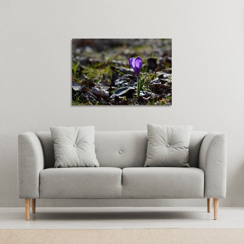 Andrew Lee - Wrapped Canvas Print