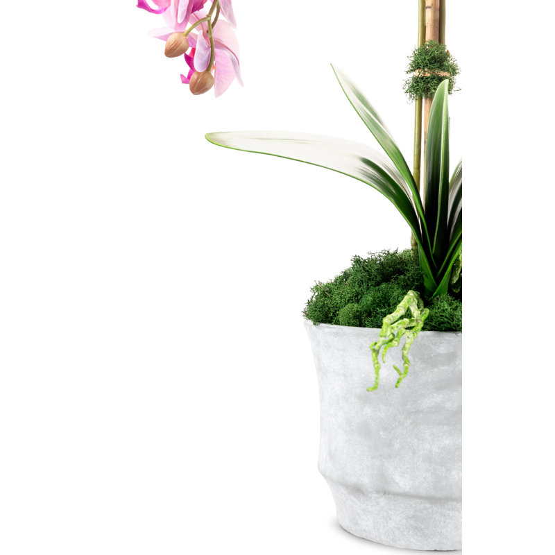 Rosalyn Realtouch Orchid in Cement Vase, Purple