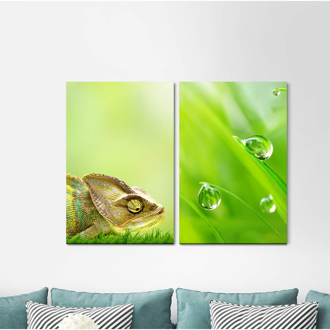 2-tlg. Leinwandbilder-Set - Fotografie „Chameleon Meadow Grass Green Fresh Drops Spring”