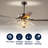 Chicago 48'' Ceiling Fan with Light Kit