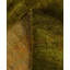 Overdyed One-of-a-Kind 6' 1" X 8' 10" Hand Knotted Area Rug