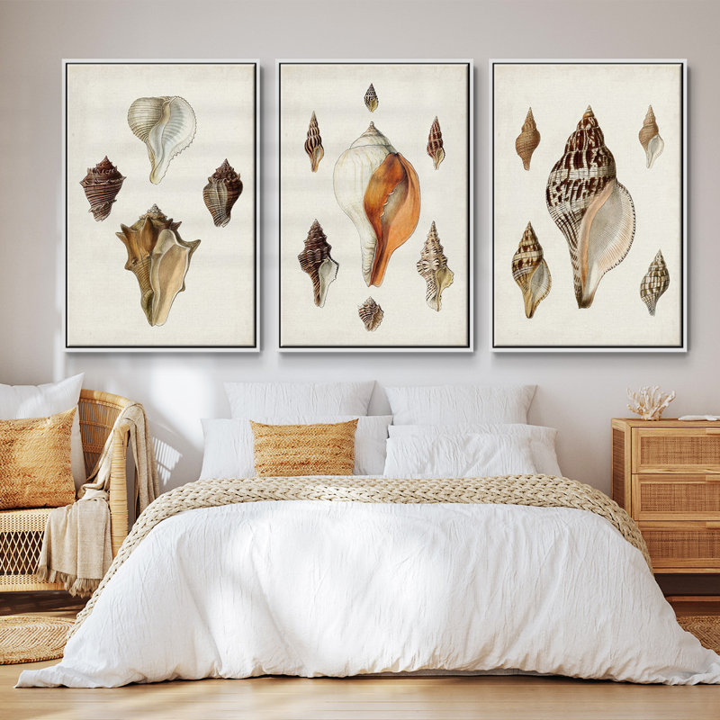 Sowerby Shells IV, ensemble de 3 toiles encadrées sur toile, H 36 po x l 72 po, Blanc