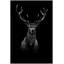 Deer Shadows 1 Print