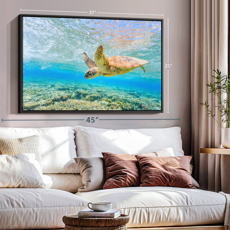 Turtle Dive Canvas Print, 25" H x 37" W