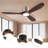 CEILING FANS LIGHT
