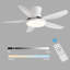 Andreano 122cm Ceiling Fan with LED Lights-1034595443
