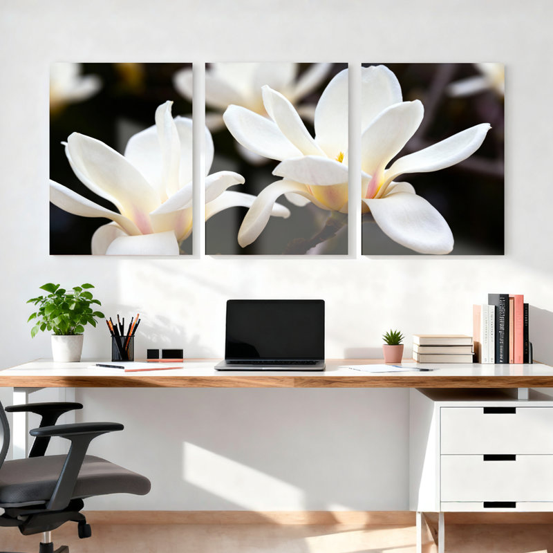 Ensemble de 3 tableaux sur toile tendue représentant des fleurs de magnolia blanc, pour la décoration du salon et de la chambre.