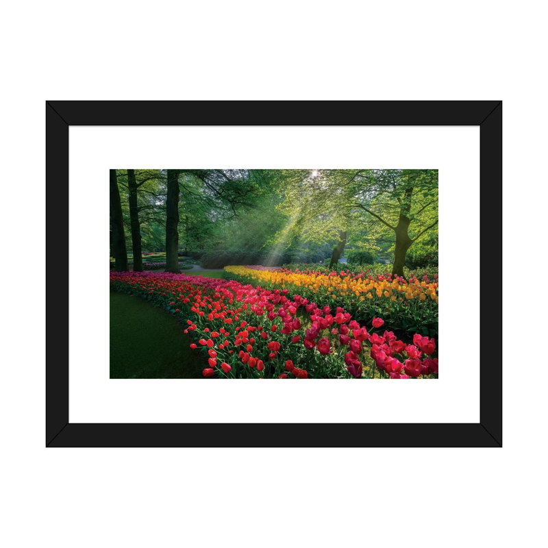 «Special Garden» - Imprimé, H 16 po x l 24 po x P 1 po, Papier beaux-arts encadré noir