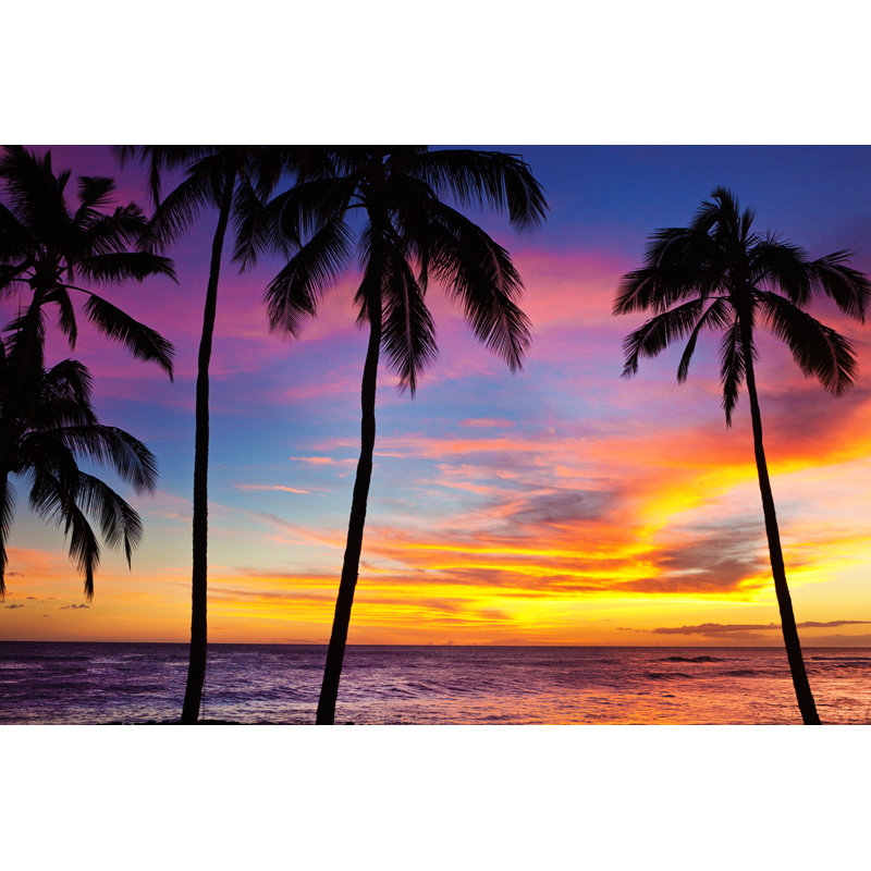 Palmier coucher de soleil Si Silhouette par Yinyang, H 32 po x l 48 po