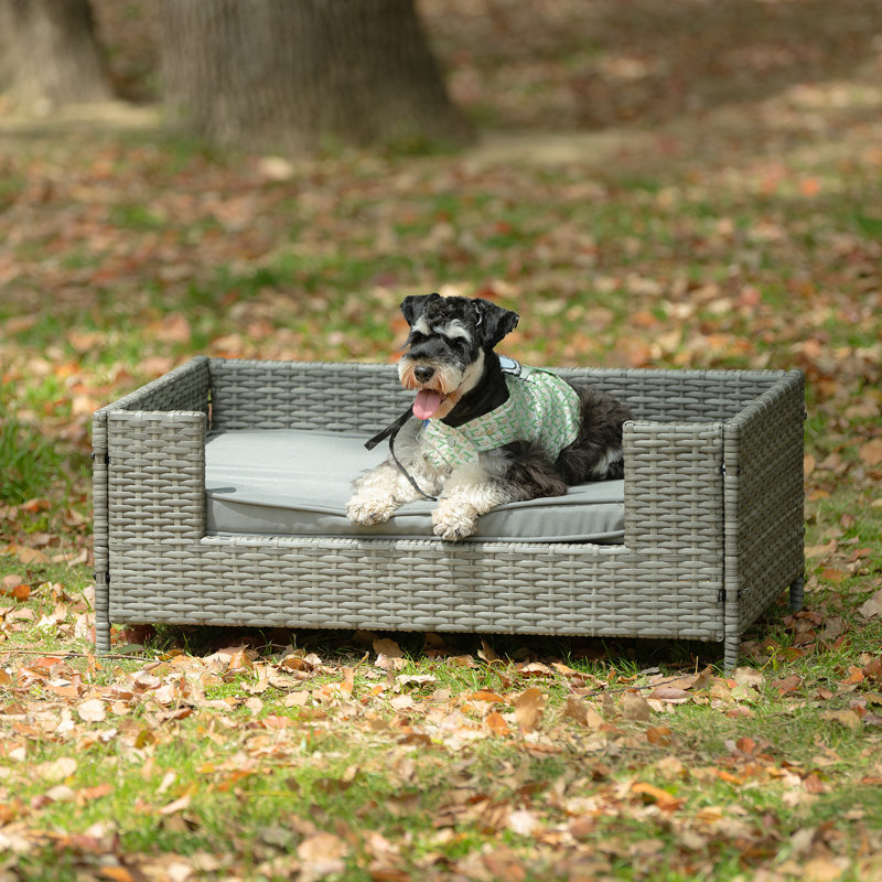 Lit pour chien Seasonal PE, H 14 po x l 35 po x P 23,5 po, Gris foncé