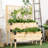 Raised Garden Bed with Trellis