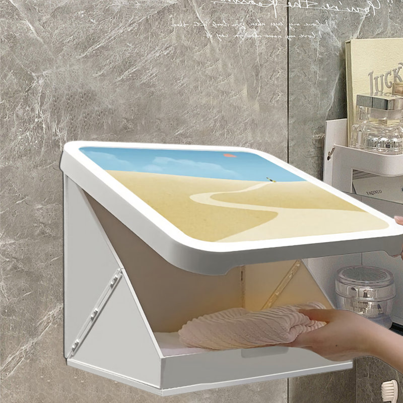 Naiovy Plastic / Acrylic Wall Bathroom Cabinet