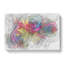 Multicoloured Rainbow Roses In Abstract - Wrapped Canvas-55309289